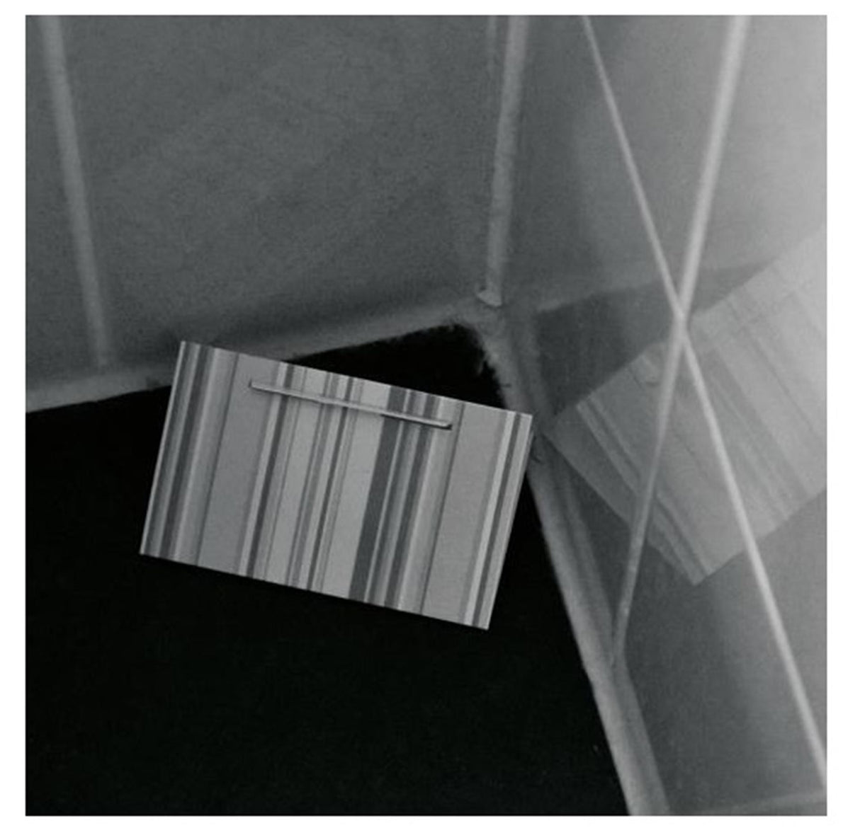 Hg Silberfischfalle 2 Stück