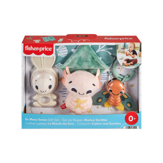 Fisher Price Tol Senses Darilni nabor
