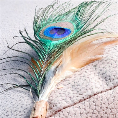 Croci Euphoria macska rúd matatabi pávatoll