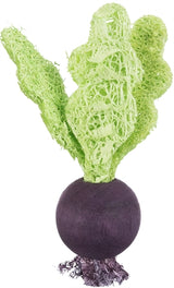 Trixie Play Ball Set Beet Truskber Wood Loofah