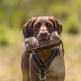 Veicolo artificiale fittizio snack trixie