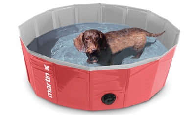 Piscina de perros de Martin rojo