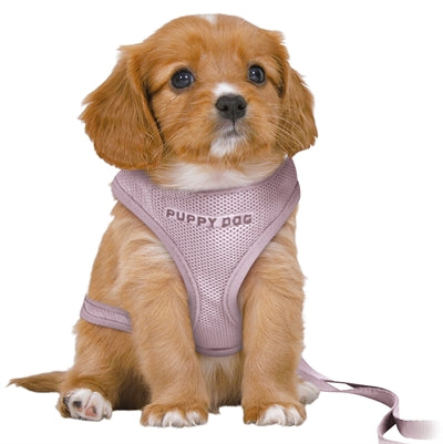Trixie Dog eigen junior cucciolo softhuik con Riem lila