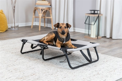 Trixie STRIPTER Dog Negro de color gris claro