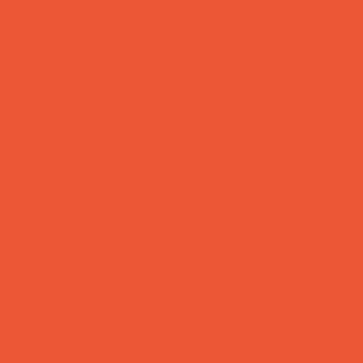 Creative expressions • foundation card tiger orange a4