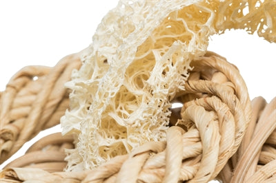 Trixie Luffing z ratanskim in koruznim obročem naravno