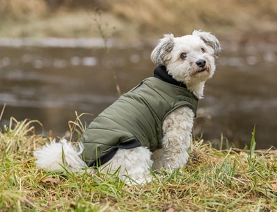 Trixie Hondjacket Arelay donkel gréng