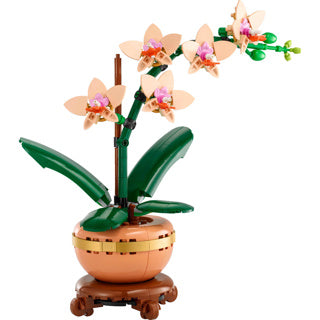 LEGO BOTANICALS 10343 MINIERCHID