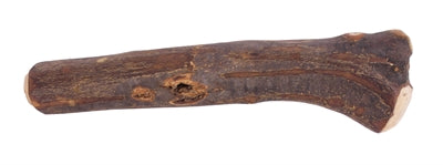 Hond HolzzZZZ Olijfhout