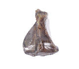 PetSnack p Bemeser list
