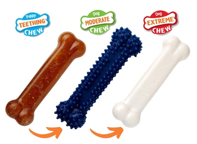 Nylabone Puppy дъвче кученце стартер комплект пиле