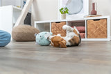 Trixie Plush Bear máta zelená pro štěně