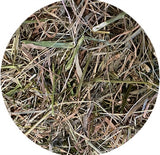 Utopia Timothy Hooi avec Parsley