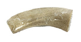 PETSNACK HOORN CORE