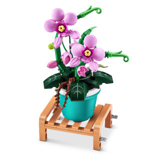 Max Bricks Pot Planting