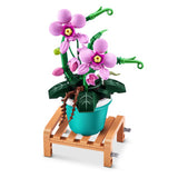 Max Bricks Pot Planting