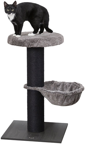 Trixie scratching post Mauricio Brown