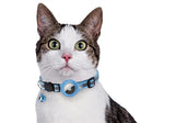 Croci collar cat with tag holder light blue