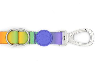 Morso Dog Belt Spring Blossom de resorte reciclado ajustable