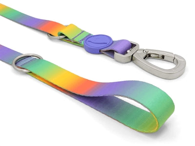 Morso Dog Belt Spring Blossom de resorte reciclado ajustable