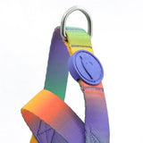 Morso Norwegian dog harness recycled spring blossom