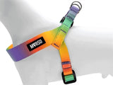 Morso Mini dog harness adjustable recycled spring blossom