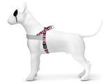 Morso norwegisches Hundegeschirr, recyceltes Skyline-Rot-Rosa