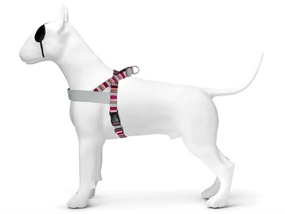 Morso Norwegian dog harness recycled skyline red pink