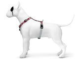 Morso Dog Charness H-Harness Recycled Skyline Red Pink