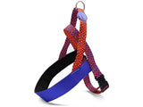 Aculatore di cani norvegese Moro Red Urban Lizard Red