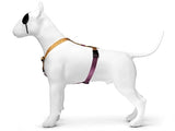 Morso Dog Charness H-Harness Рециклиран джунгла барабан оранжево