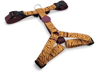 Morso dog harness H-harness recycled jungle drum orange