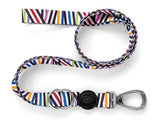 Morso Hond Belt just erfëllt recycléiert Spaghetti Tëschefall