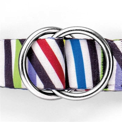 Morso Hond Belt just erfëllt recycléiert Spaghetti Tëschefall
