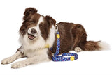 Morso dog leash recycled color invaders purple