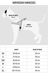 Arnês para cães Morso norueguês bolha reciclada leo rosa