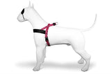 Morso Norwegian dog harness recycled bubble leo pink