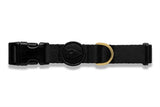 Morso collar dog Recycled Gold Caviar Gold