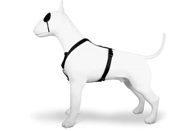 Morso Dog Harness H-hem genanvendt puress sort