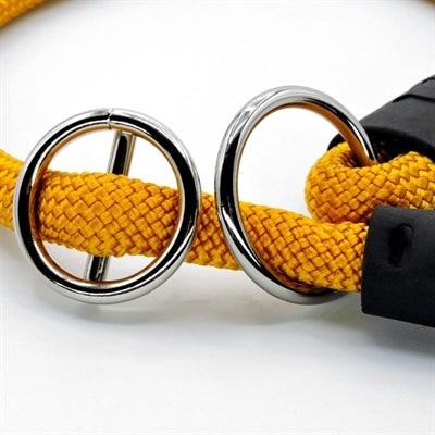 Morso collier pour chien demi-slip corde régulière or recyclé or