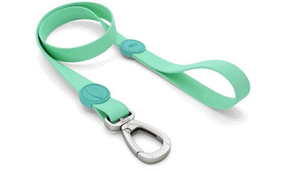 Morso Dog Lash Imperproof Recycle Recycle Carribe Green Groen