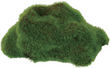 ZOLUX Ornament While Growing Decor Assorti