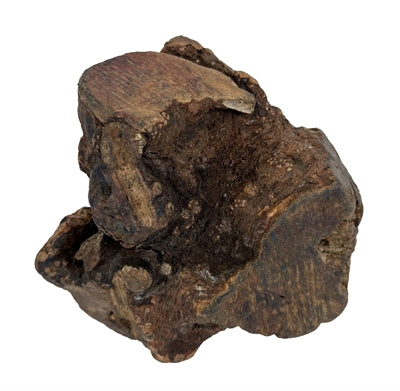 Hund Woodzzz Chew Root med olivenolie