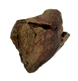 Hund Woodzzz Chew Root med olivenolie