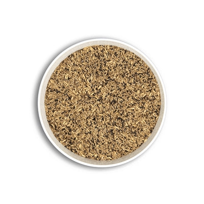 Cunipic Premium Canary