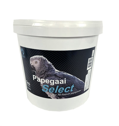 Parrot de Hareco selecionado com pellets