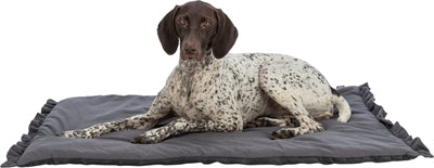 Trixie Ligmat Amelie Dark gray