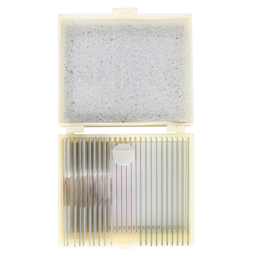 Konus Prepared Set Animal Reproduction (10 Pieces)