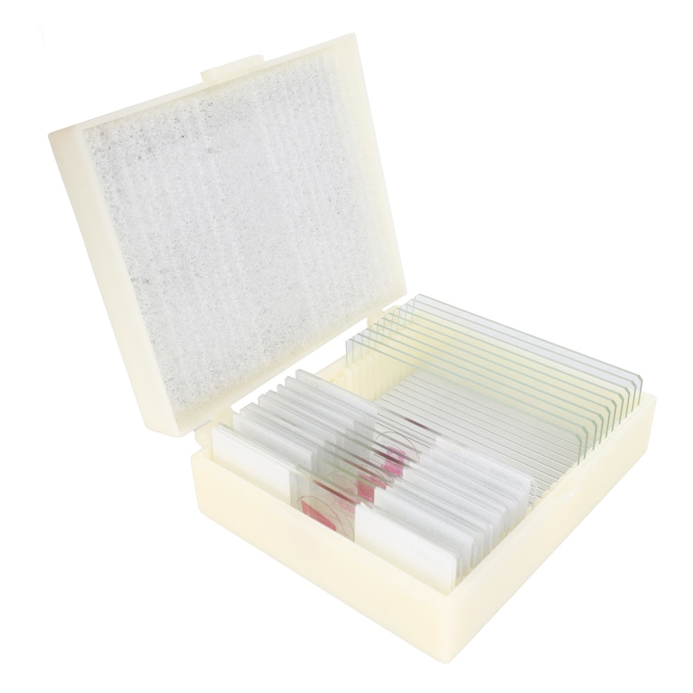 Konuksen valmistelujoukko Biology Education 1 (10 kappaletta)