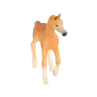 Schleich Horse Club Veulen árabe 13984